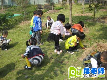 大班科学活动教案《环保小卫士》