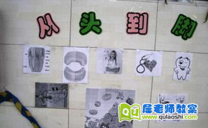 教案主题大班《从头到脚》防踩踏教学设计图片